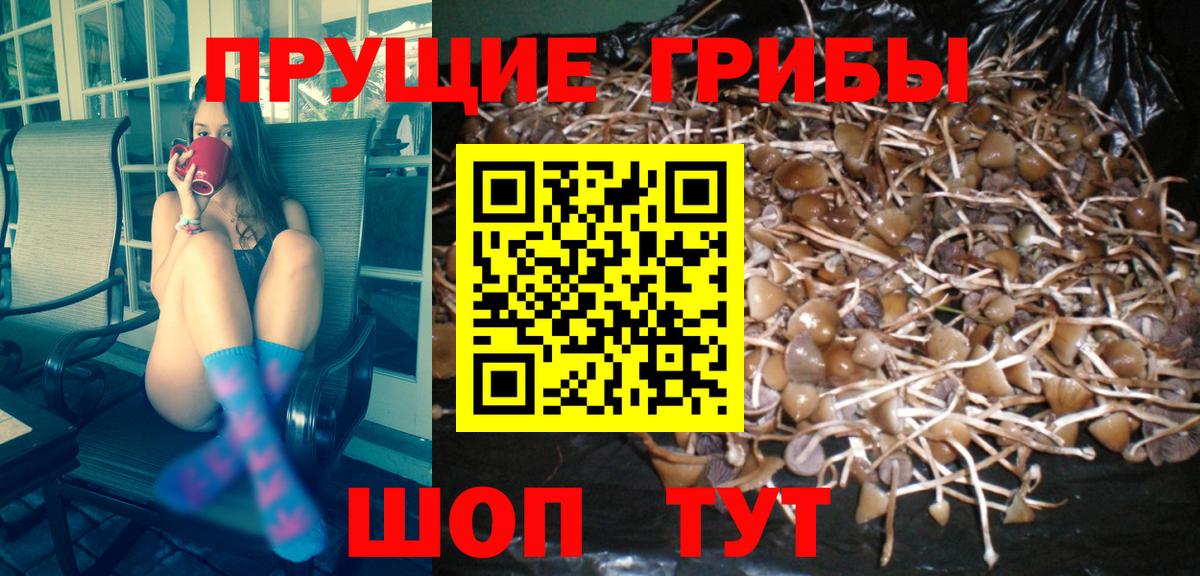 Лысьва  купить  сайты  Вход с VPN  Псилоцибиновые грибы мицелий 